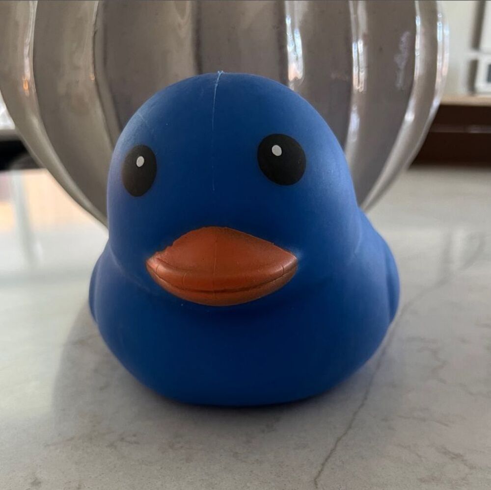 Jumbo Squeezy Duck  Sunny Days Squishy TikTok Viral Toy SHIPS TODAY!
